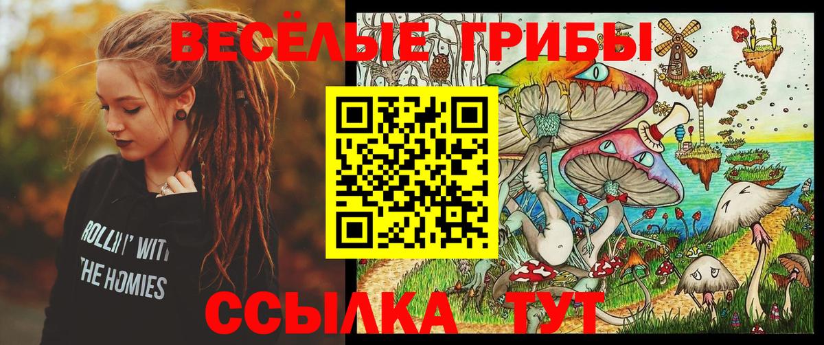 Псилоцибиновые грибы Psilocybine cubensis Чапаевск