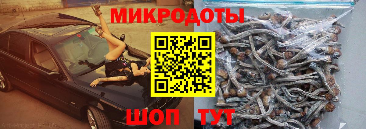Галлюциногенные грибы Magic Shrooms  где продают наркотики  Псилоцибиновые грибы Psilocybe  Чапаевск  Вход с VPN 